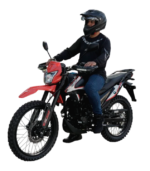 XTRIAL 250 - Imagen 2