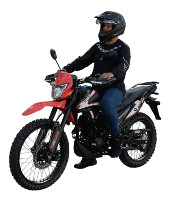 XTRIAL 250 - Imagen 2