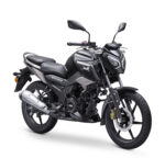 RAIDER 125 - Imagen 2